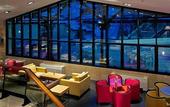 Туры в отель Melia Sol Y Nieve