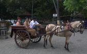 Туры в отель Melka Excelsior Hotel