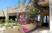 Туры в отель Caldera View Resort - Adults Only