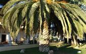 Туры в отель Ignatia Hotel
