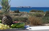 Туры в отель Plaka Hotel II