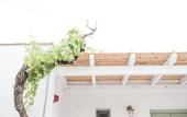Туры в отель Nastasia Village Boutique Hotel