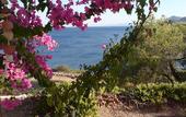 Туры в отель Kavos Bay Seafront Hotel