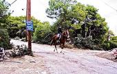 Туры в отель Kavos Bay Seafront Hotel