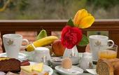 Туры в отель Emotions Country Resort