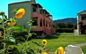 Туры в отель Rigas Hotel Skopelos