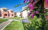 Туры в отель Rigas Hotel Skopelos
