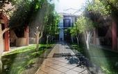 Туры в отель Rigas Hotel Skopelos