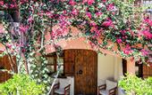 Туры в отель Rigas Hotel Skopelos