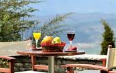 Туры в отель Konitsa Mountain Hotel