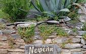 Туры в отель Chrissi Nefeli