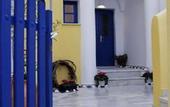 Туры в отель Cultural House