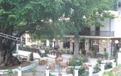 Туры в отель Hani Zisi Hotel