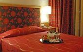 Туры в отель Palladion Boutique Hotel
