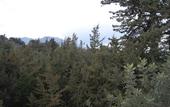 Туры в отель Mountain Vista Resort