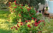 Туры в отель Koroni Village