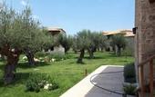 Туры в отель Mystras Grand Palace Resort & Spa