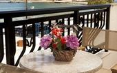 Туры в отель Filoxenia Hotel