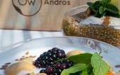 Туры в отель OW Andros - Luxury Suites