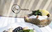 Туры в отель OW Andros - Luxury Suites