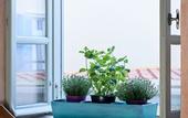 Туры в отель Guesthouse Lila