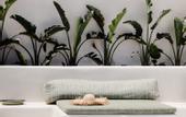 Туры в отель Koukoumi Vegan Boutique Hotel