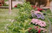 Туры в отель Corinthian Village