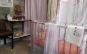 Туры в отель Villa George