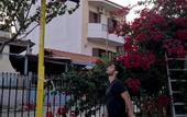 Туры в отель Villa George