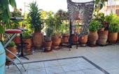 Туры в отель Villa George
