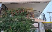 Туры в отель Villa George