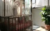 Туры в отель Villa George