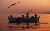 Туры в отель Avaton Luxury Resort