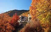 Туры в отель Hotel Athina