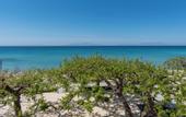 Туры в отель Alkioni by the Sea Hotel