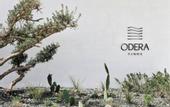 Туры в отель Odera, Tinos, Autograph Collection