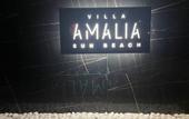 Туры в отель Villa Amalia Sun Beach
