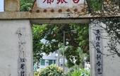 Туры в отель Silverview Resort Holiday