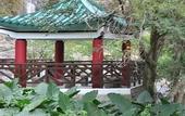 Туры в отель Silverview Resort Holiday