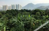 Туры в отель City Oasis Guesthouse