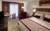 Туры в отель Mercure Istanbul Altunizade