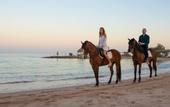 Туры в отель Mercure Hurghada