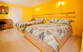 Туры в отель Habitation Hatt Hotel