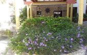Туры в отель Habitation Hatt Hotel