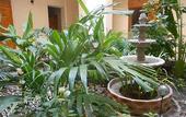 Туры в отель Le Paradis S. Hotel