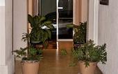 Туры в отель Le Paradis S. Hotel