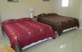 Туры в отель Jeffel Hotel