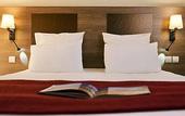 Туры в отель Mercure Annecy Centre