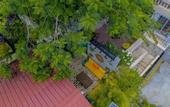 Туры в отель Residences Etang  du Jong