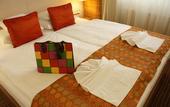 Туры в отель Famulus Hotel